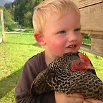 新特格拉本鲍尔公寓 *