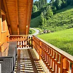 新特格拉本鲍尔公寓 * 皮恩山口附近施皮塔尔