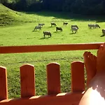 公寓 新特格拉本鲍尔公寓 皮恩山口附近施皮塔尔