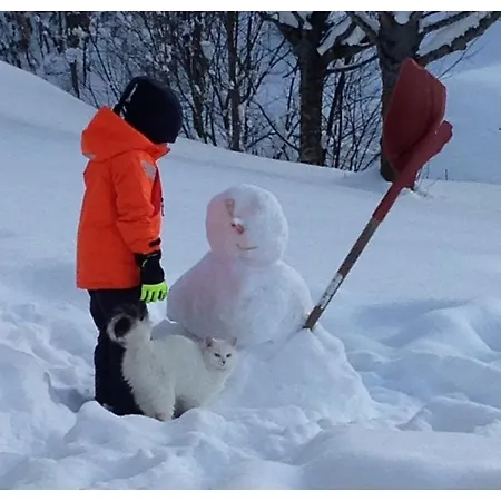 Apartment Hintergrabenbauer