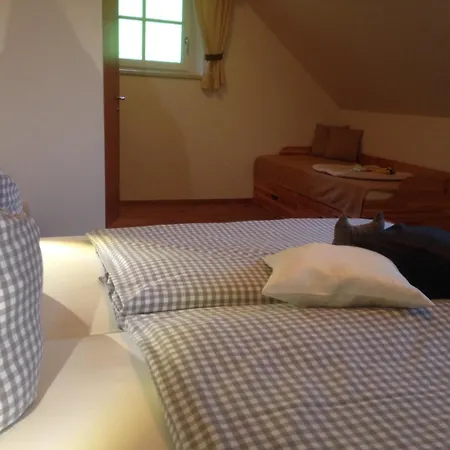 Hintergrabenbauer Apartment Spital Am Pyhrn