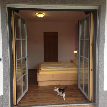 Hintergrabenbauer Apartment Spital Am Pyhrn