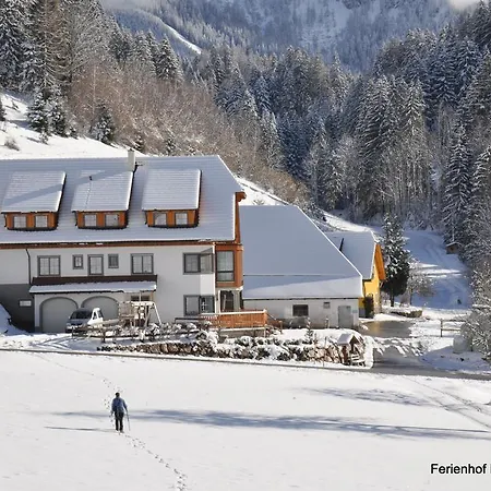 Hintergrabenbauer شقة شبيتال أم بيرن