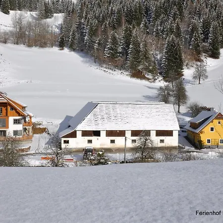 شقة Hintergrabenbauer *