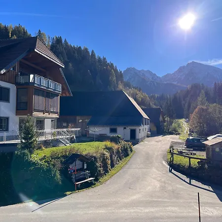 Hintergrabenbauer Daire Spital Am Pyhrn