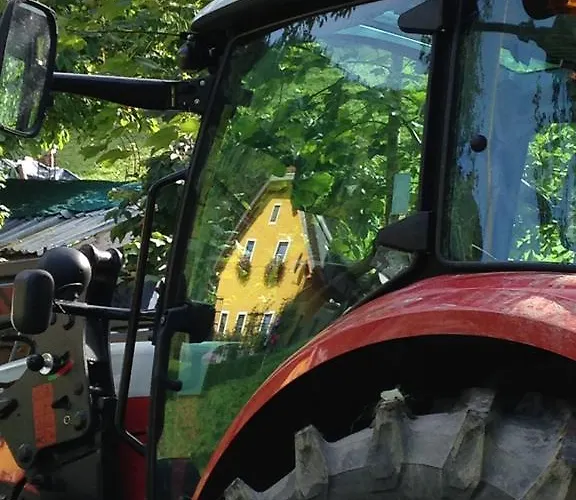 Hintergrabenbauer Daire *