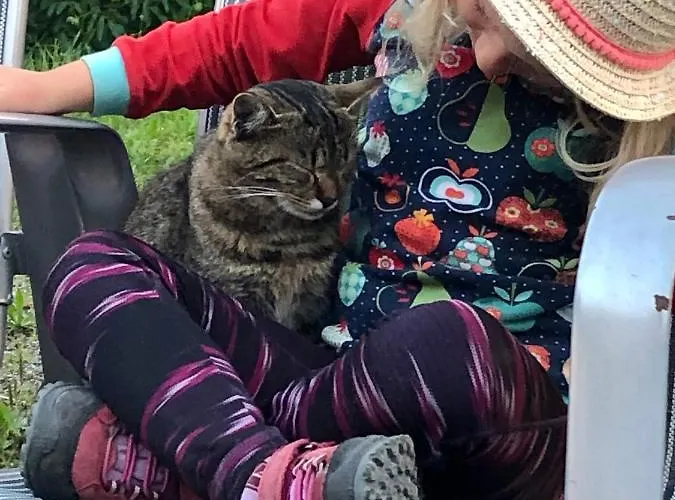 Hintergrabenbauer Daire *