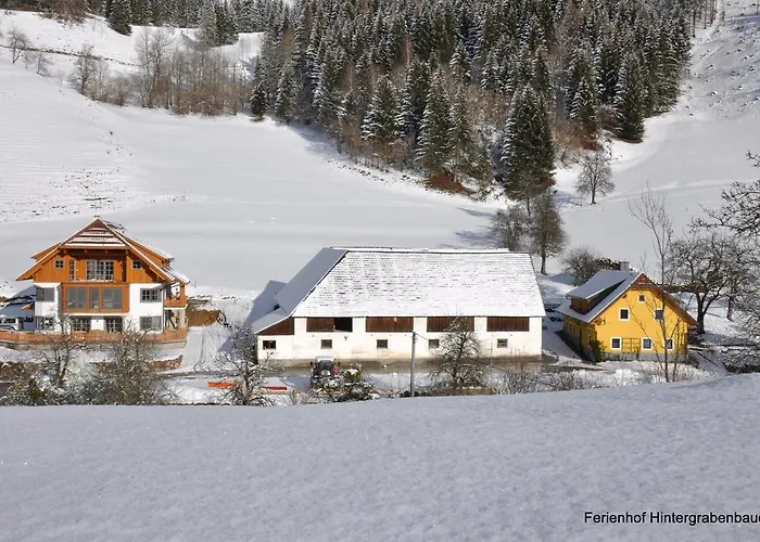 Daire Hintergrabenbauer *