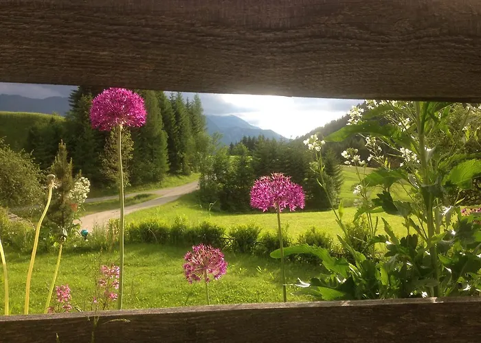 Hintergrabenbauer Spital Am Pyhrn