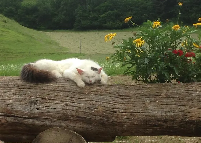 Διαμέρισμα Hintergrabenbauer *