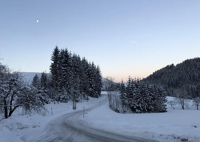 Daire Hintergrabenbauer Spital Am Pyhrn